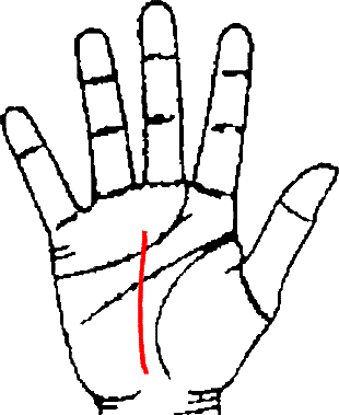 Hand showing Fate Line